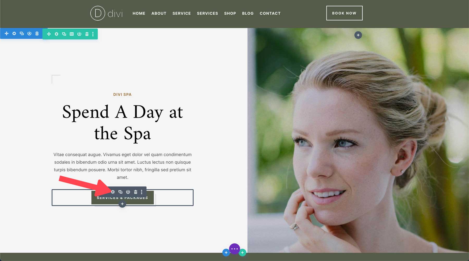 Spa starter site for Divi