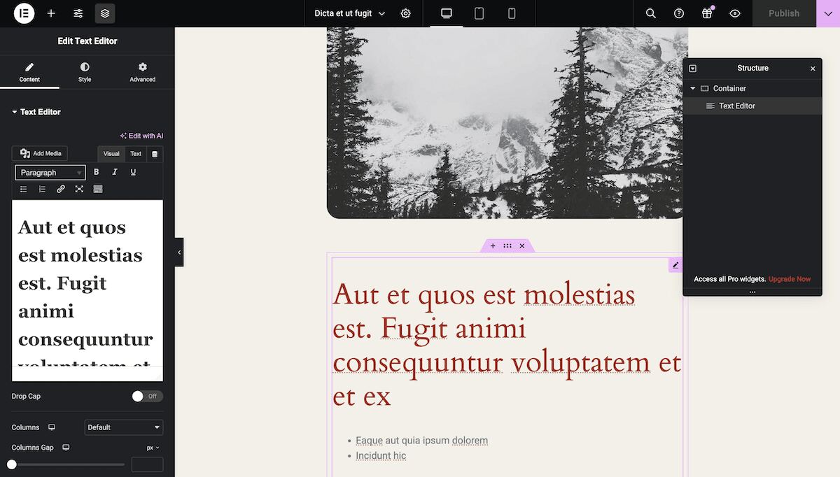 The Elementor interface within WordPress, showing text editing tools on the left, a preview of the page content in the center featuring a mountain landscape image, and a structure panel on the right showing the page layout elements.