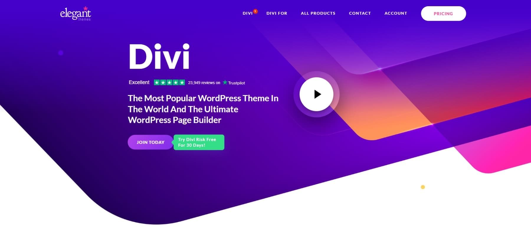 A screenshot of Divi's homepage