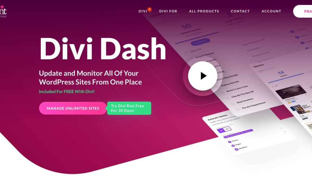 Most sensible Options Of Divi Sprint For Busy WordPress Companies