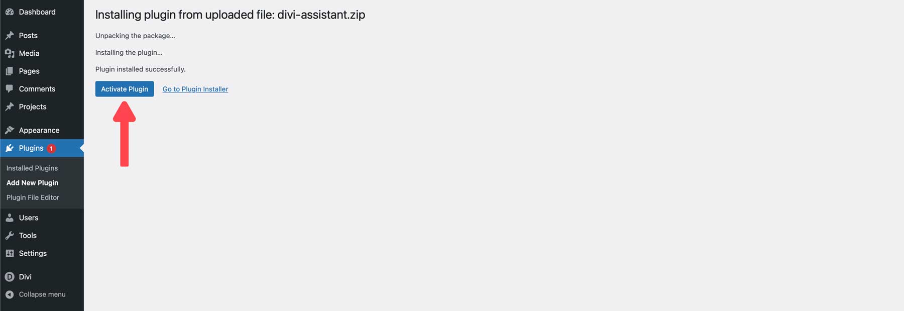 activate Divi Assistant