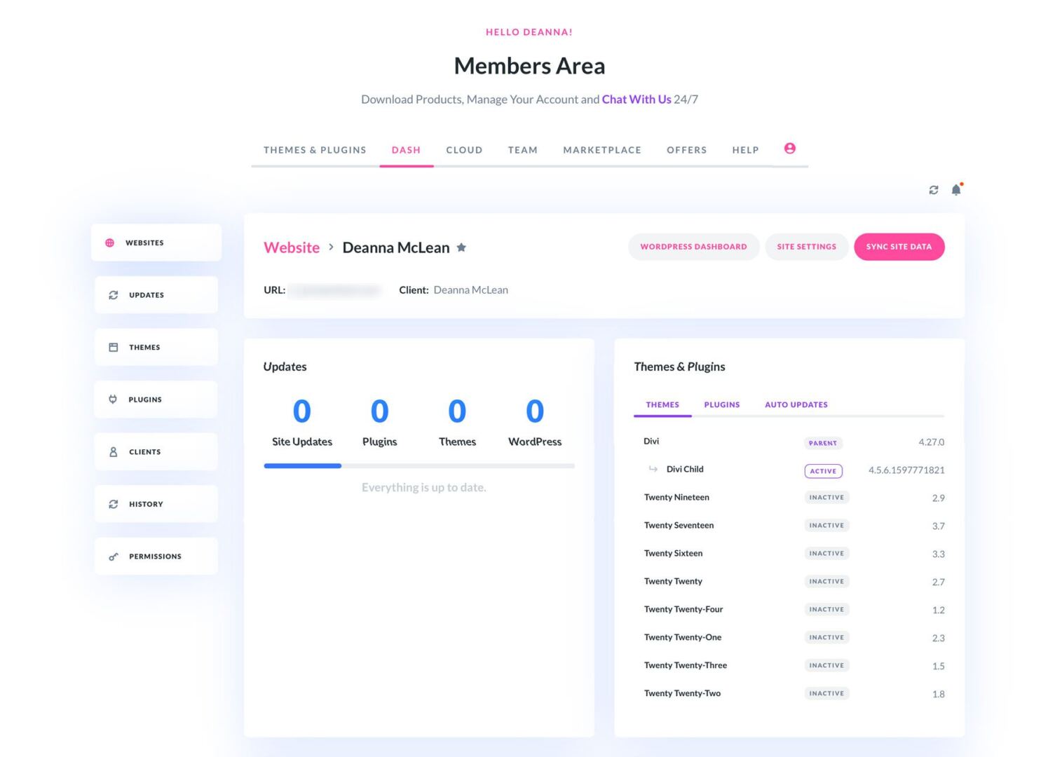 Divi Dash website dashboard