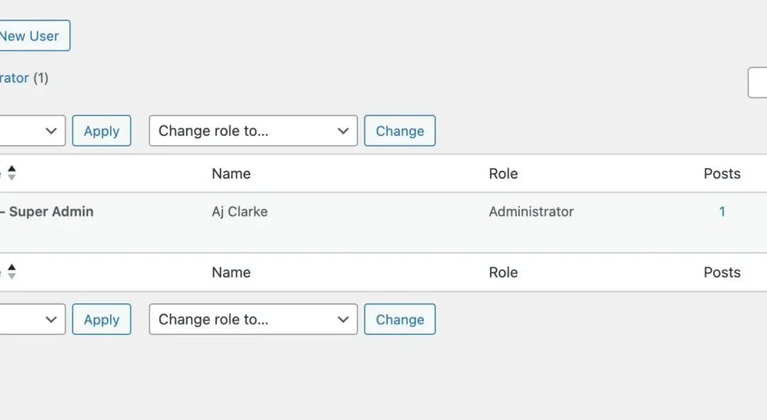 How one can Upload Customized Columns to the WordPress Customers Dashboard