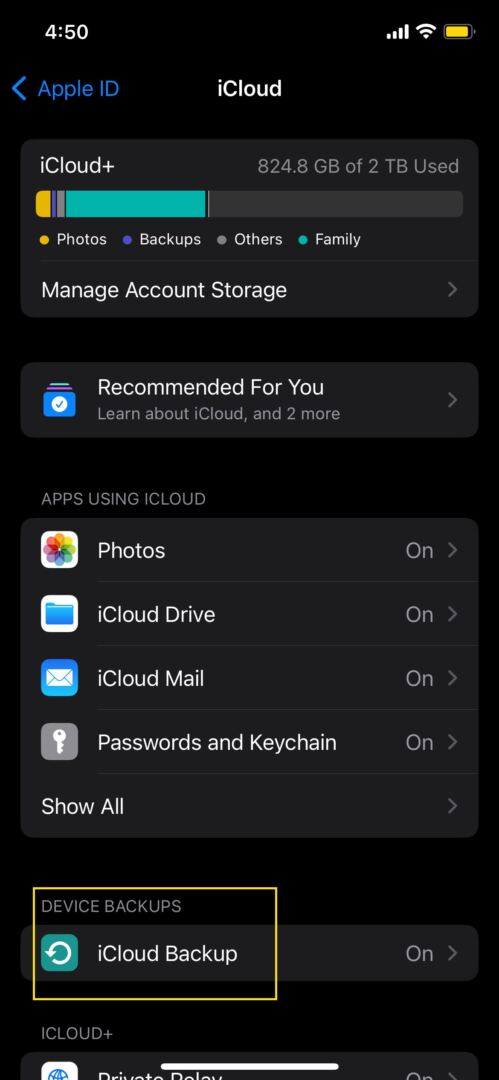 iCloud Backup menu