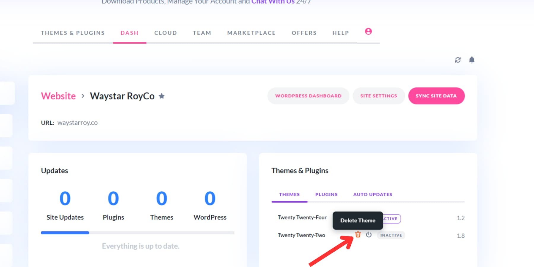 A screenshot of how to delete themes using Divi Dash