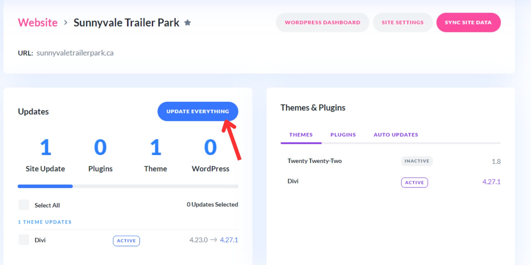 A screenshot of update everything button on Divi Dash