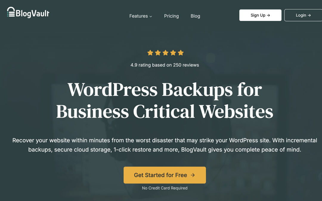 5 Easiest WordPress Backup Plugins for Knowledge Safety (2024)