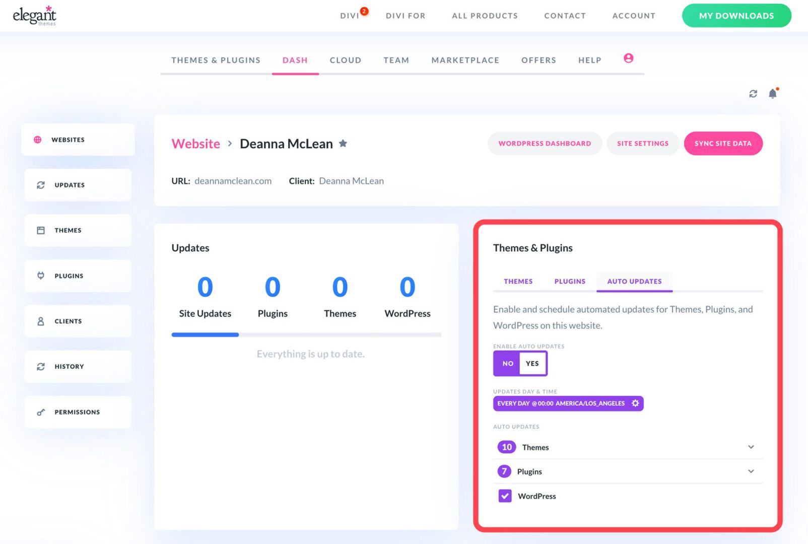 Divi Dash auto updates