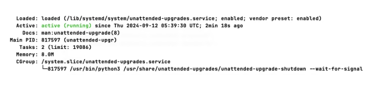 Checking Ubuntu package updates status in terminal