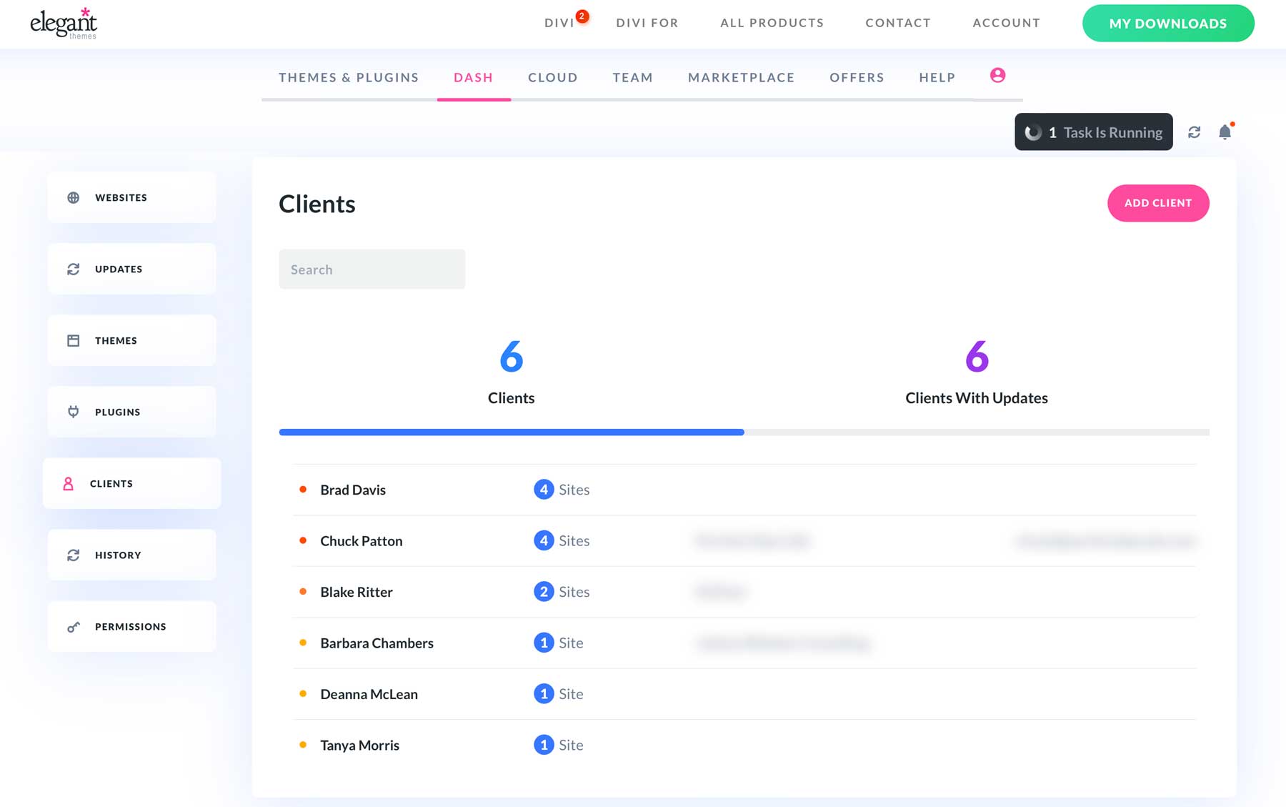 Divi Dash client dashboard