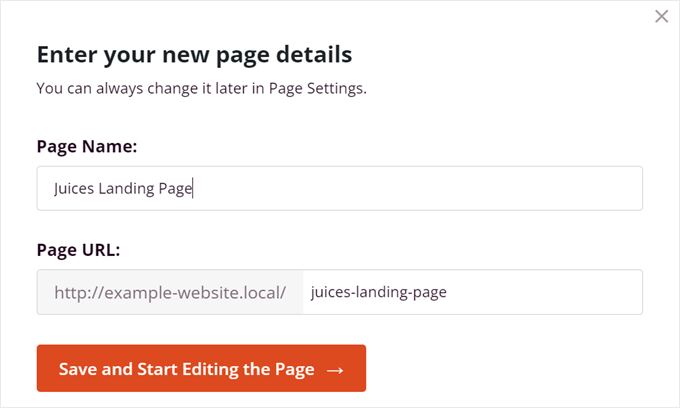 Inserting the landing page details in SeedProd