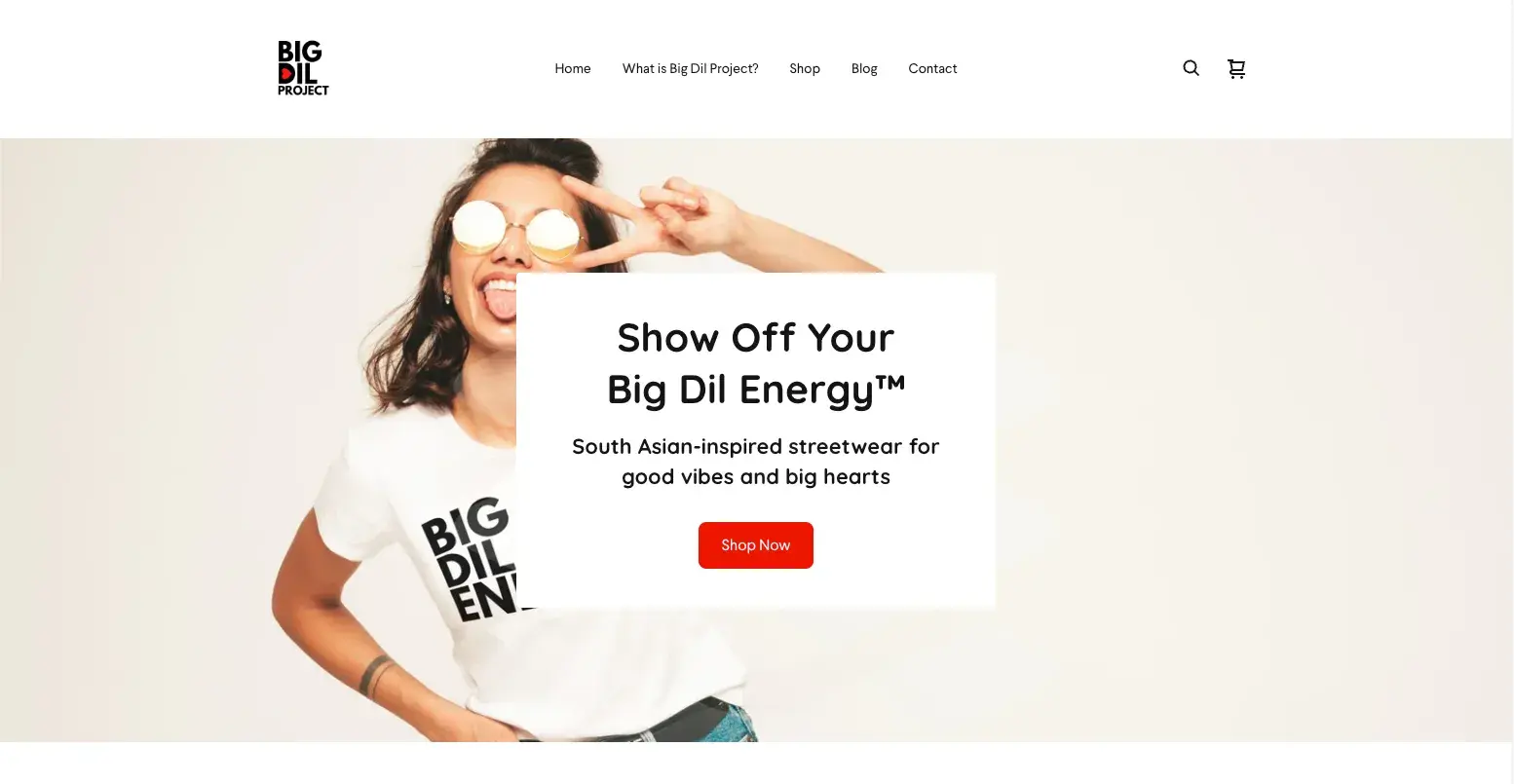 Screenshot of the Big Dil Project homepage showing a South Asian woman in sunglasses.