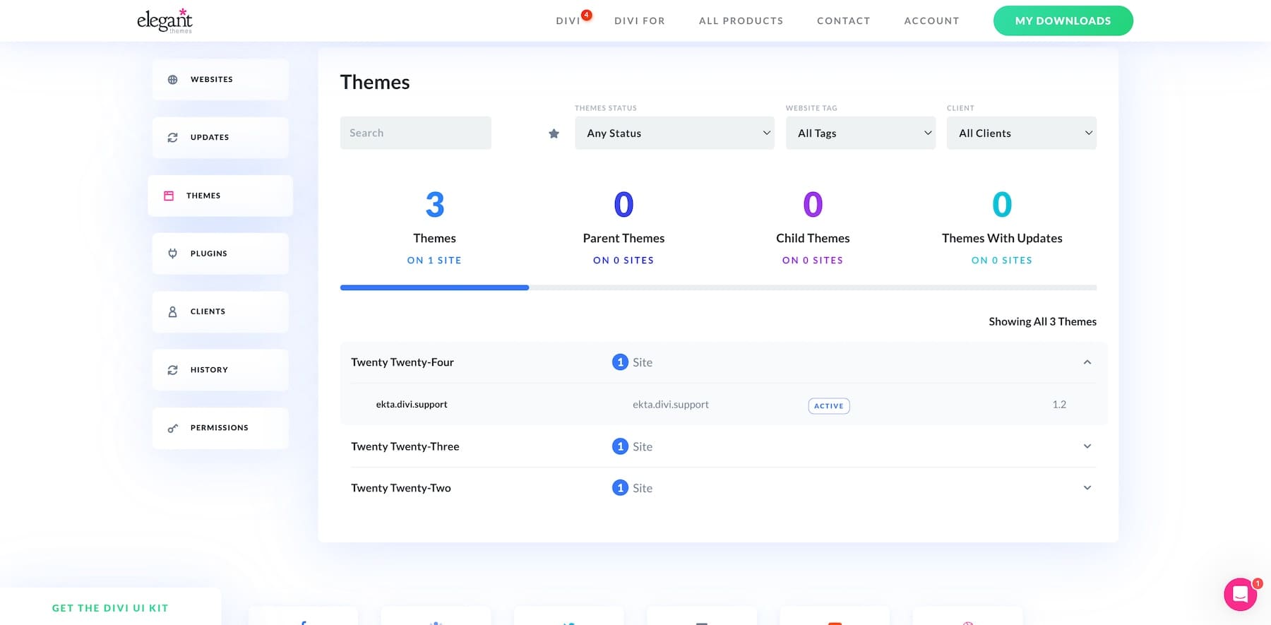 manage themes on divi dash