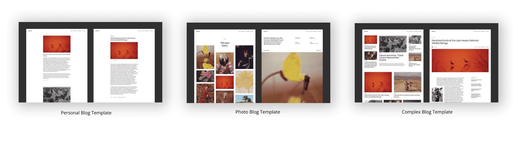 twenty twenty-five blog templates categorized by purpose