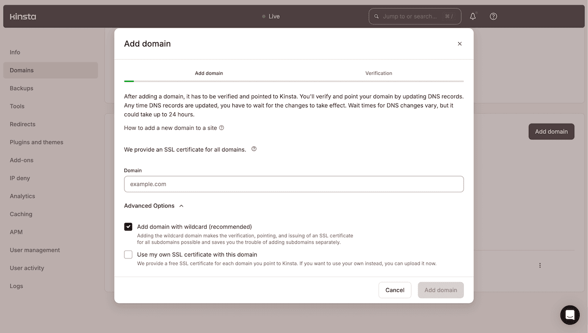 The MyKinsta dashboard displaying a modal window for adding a new domain. The interface includes a text field for entering a domain name (showing example.com as a placeholder), along with options for wildcard domain setup and SSL certificate configuration. The interface indicates that DNS verification is required and may take up to 24 hours to propagate.