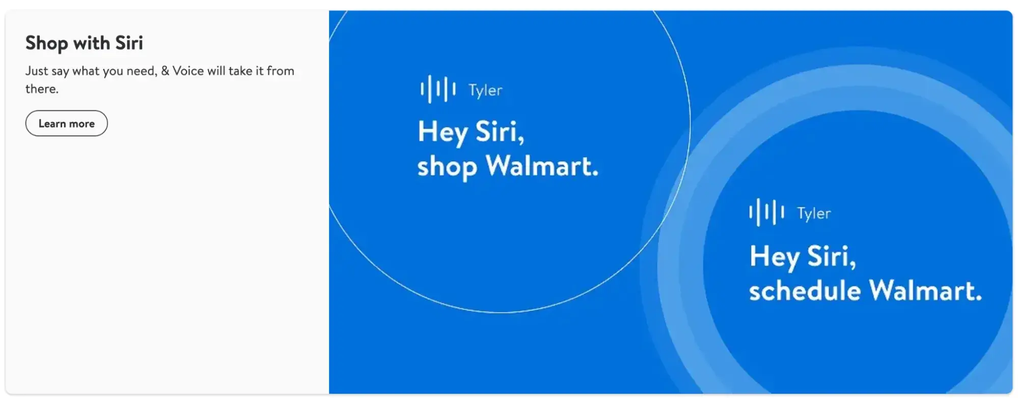 Walmart voice assistant