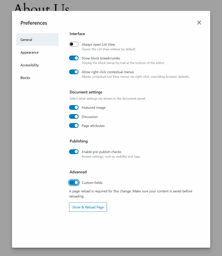 Enabling custom fields in the Block Editor Preferences screen