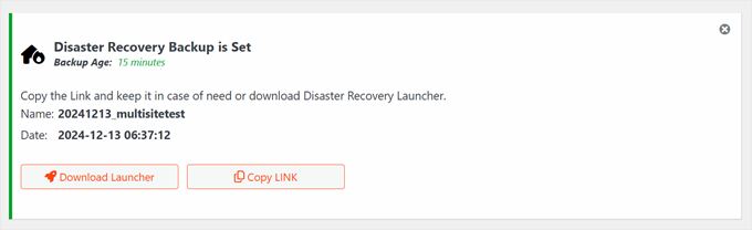 Choosing between downloading a launcher file or copying a link to initiate Duplicator disaster recovery