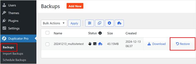 Restoring a multisite backup in Duplicator