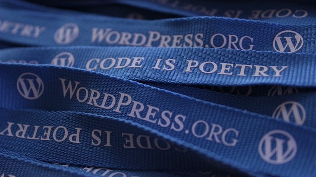 WordPress Theme Construction for Freshmen in Puerto Rico: Unharness Your…