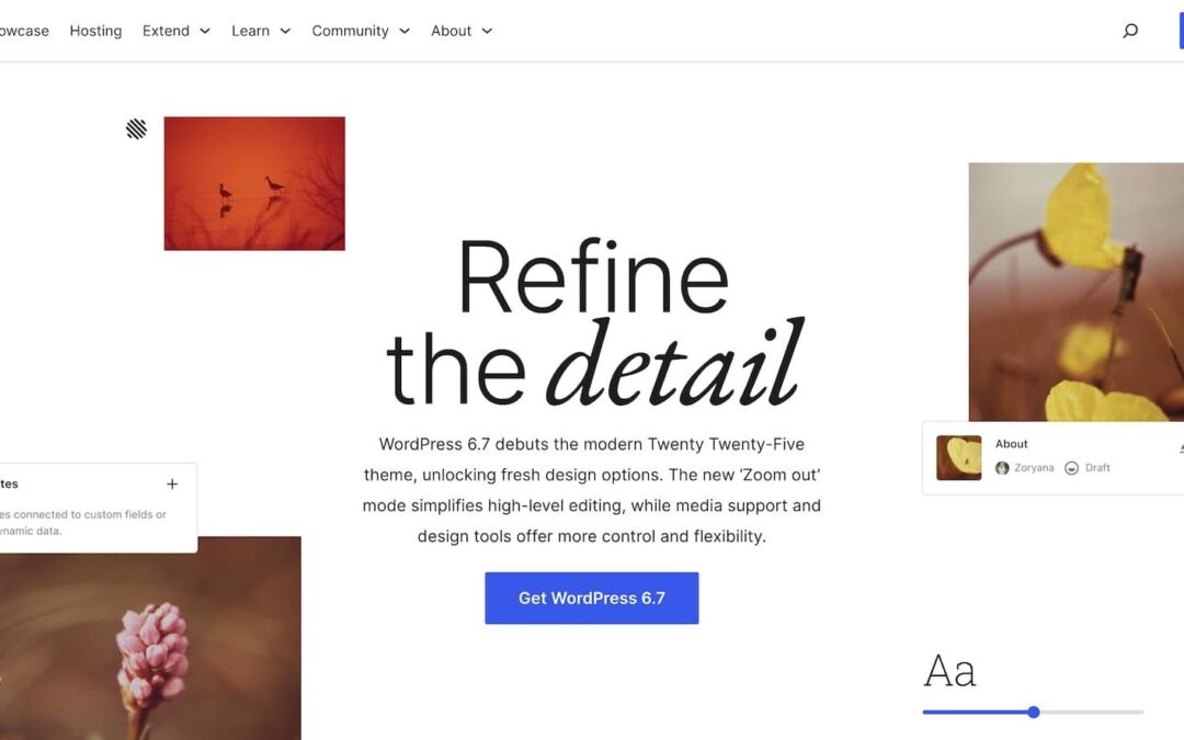 WordPress Twenty Twenty-5 Assessment: Are 6.7 Options Price It?