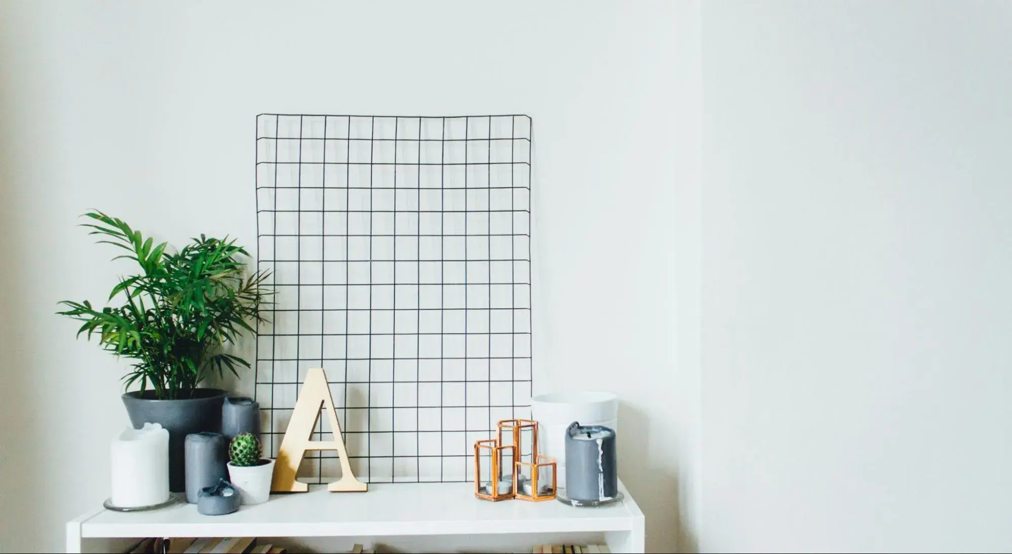 minimalistic architecture zoom backgroundhttps://unsplash.com/photos/potted-plants-on-table-ti4kglkggmu