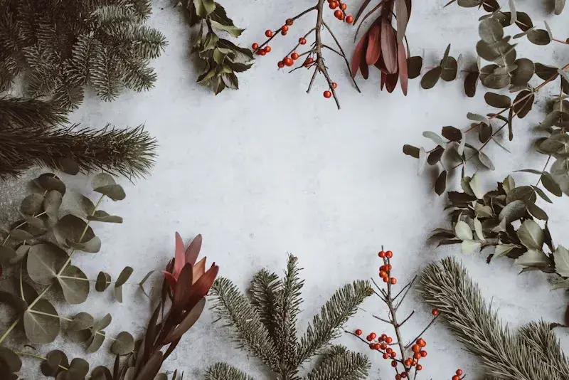 winter plants zoom backgroundhttps://unsplash.com/photos/assorted-type-of-leaves-lying-on-white-panel-vdxtvyjvj7a