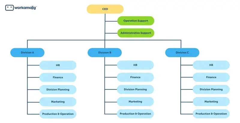 infographic show a visual of the divisional organizational structure.