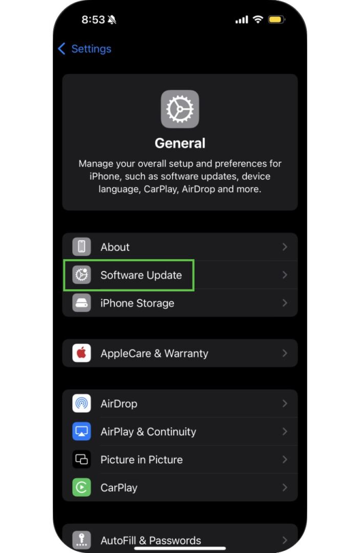 iPhone software update option in settings menu