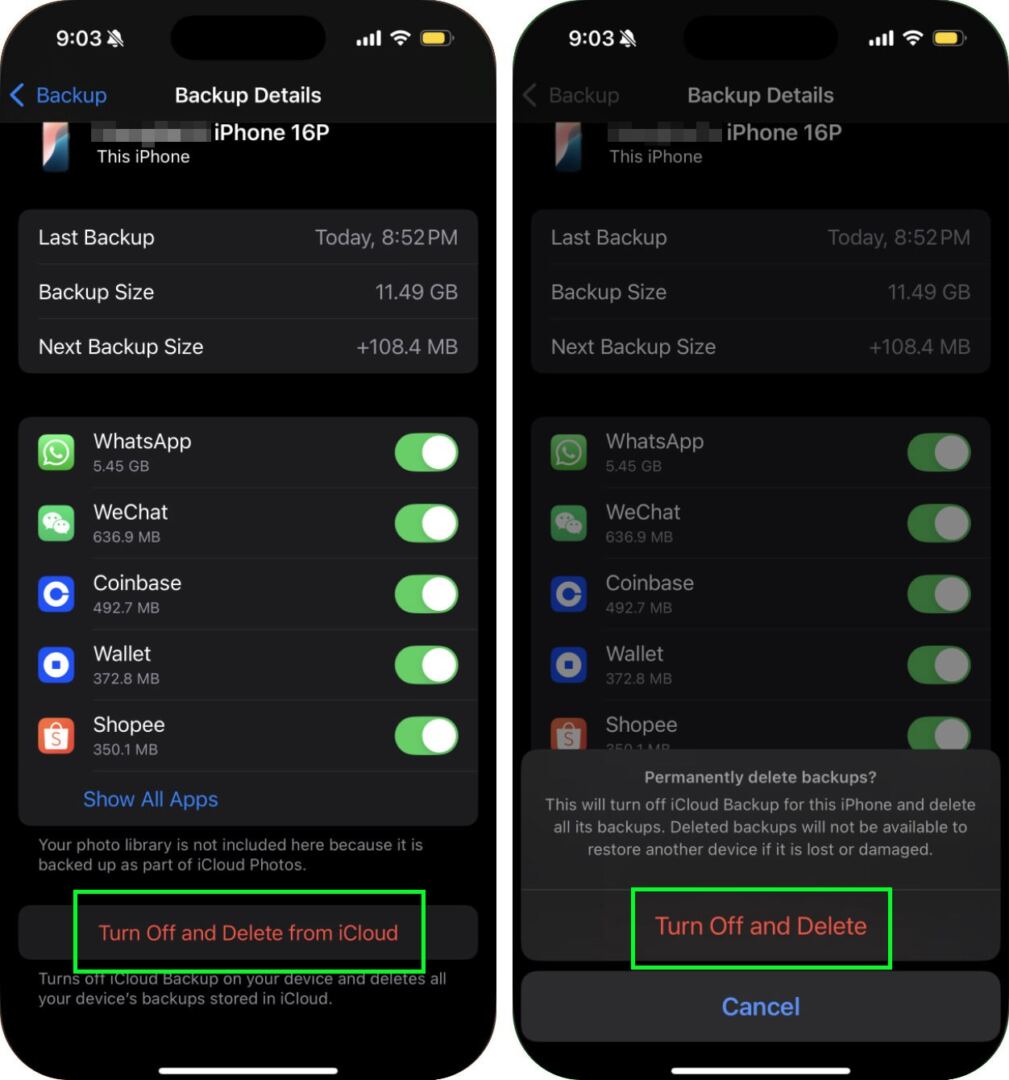 Turn off and delete iCloud backup option