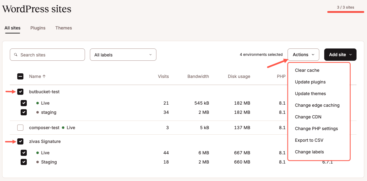 Kinsta Bulk Actions tool.