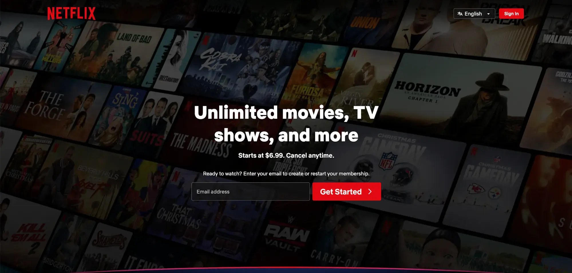 screencap of netflix’s landing page.