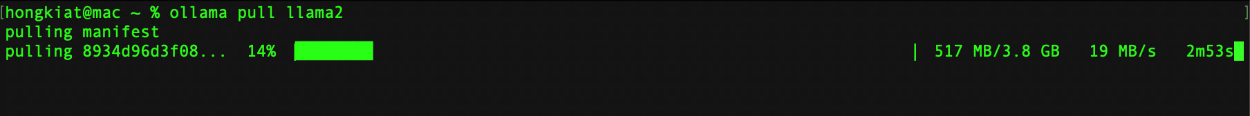 Downloading LLM