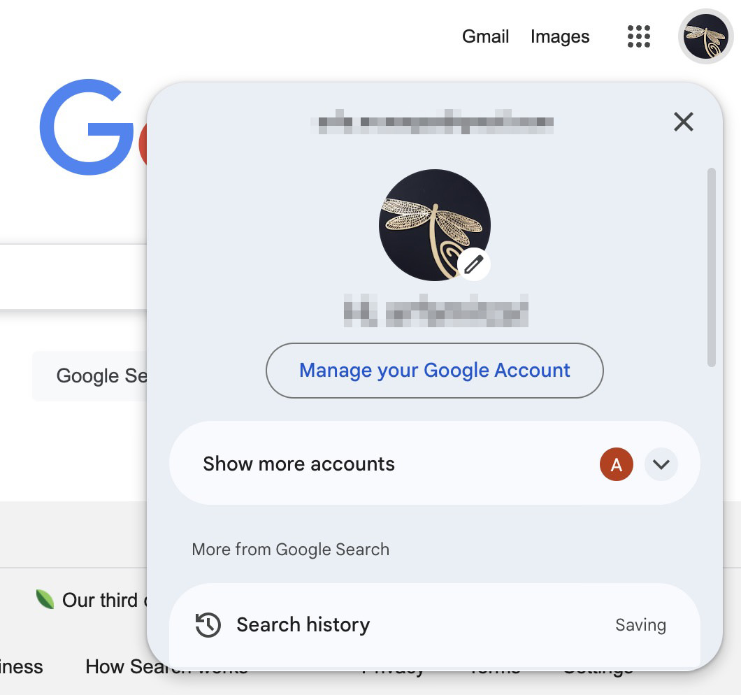 Google Chrome with multiple Google accounts set up and profile switcher