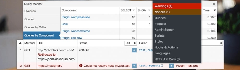 Query Monitor plugin.