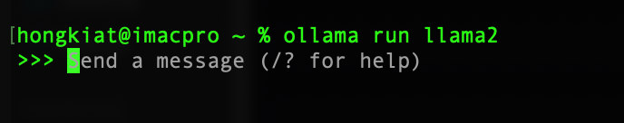 Running llama2 LLM