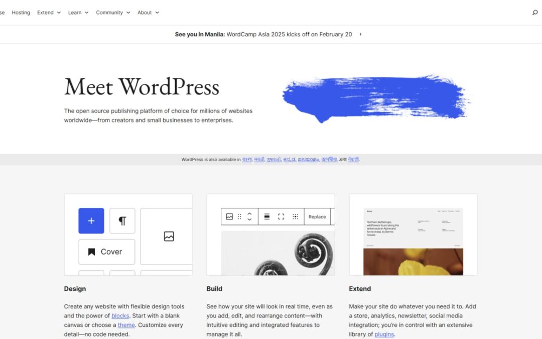 WordPress Marketplace Proportion Statistics: How Is WordPress Doing In 2025?