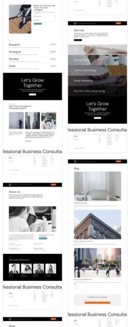 New Starter Web site for Execs (Fast Set up)