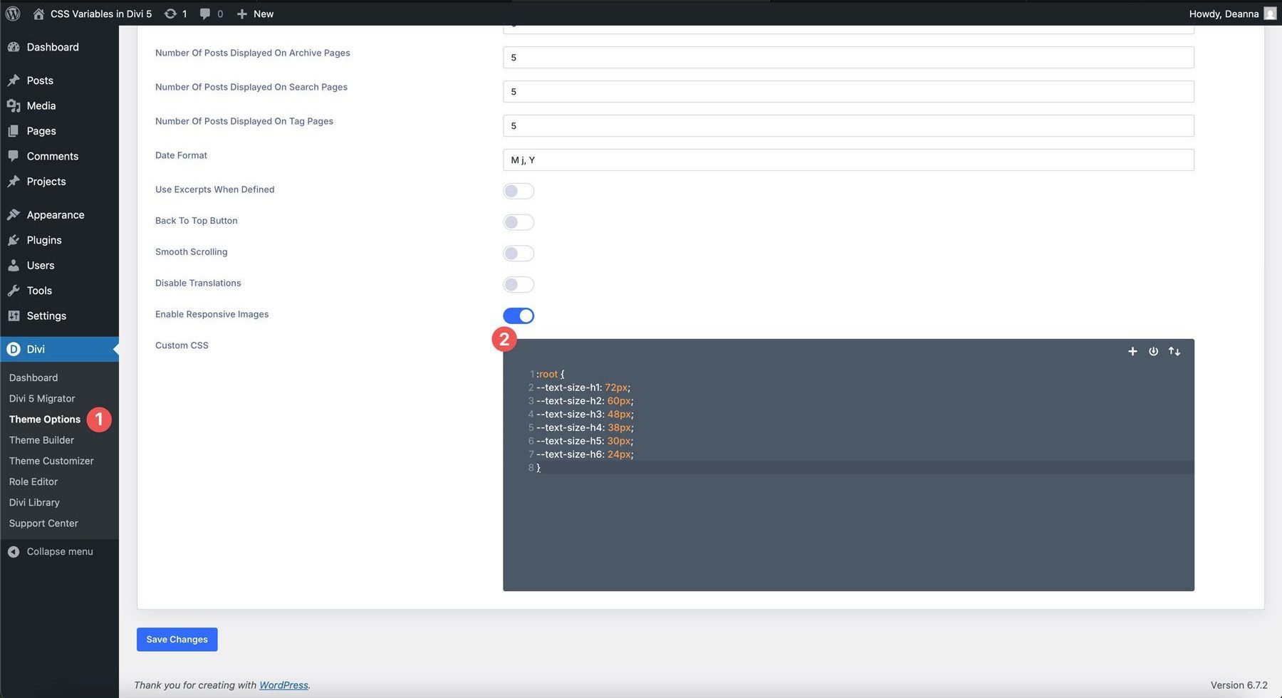 Divi theme options