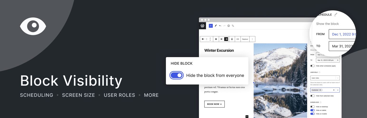 Hero banner of the Block Visibility plugin.