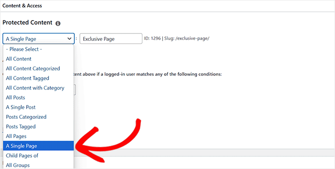 Choose content to protect from the dropdown menu