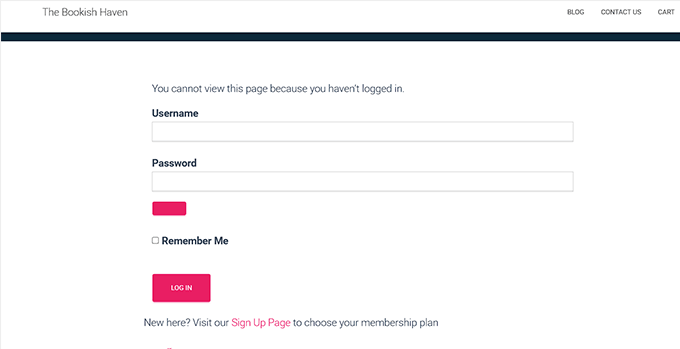 Login page preview