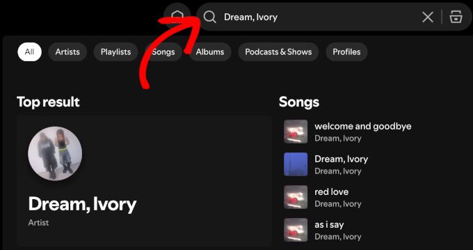 Using Spotify search feature