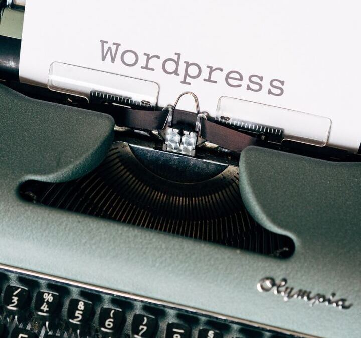 Matt Mullenweg Interview On The Long term Of WordPress / The…