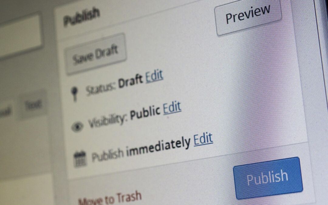 Matt Mullenweg Interview On The Long term Of WordPress / The…