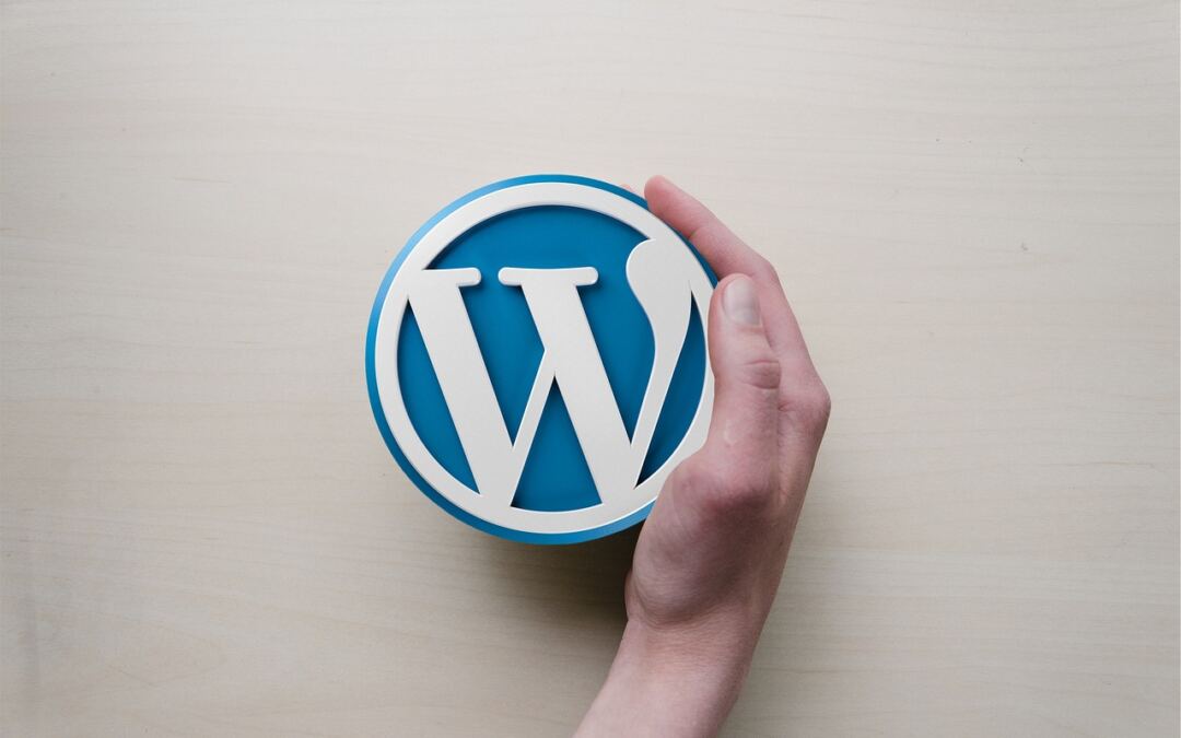 WordPress Safety Pointers To Offer protection to Your Web site ~ Surf’s Up…