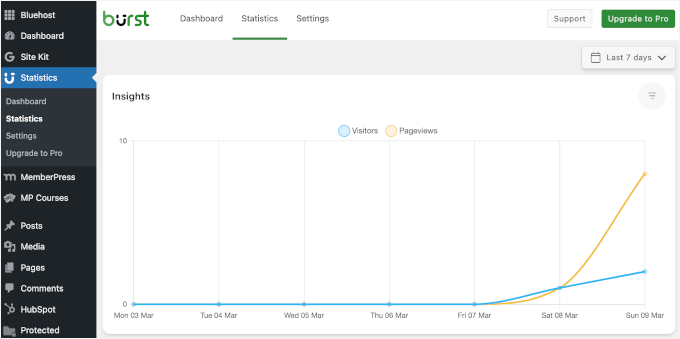 Insights in Burst Statistics