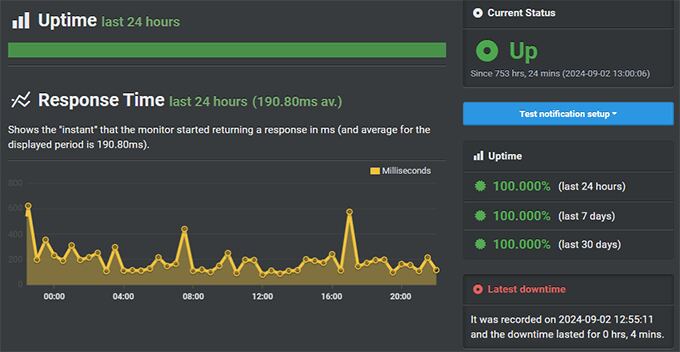 Hostinger Uptime Test