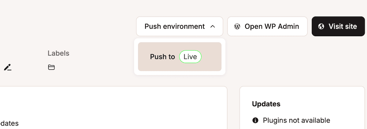 The MyKinsta interface showing buttons for Push environment, Open WP Admin, and Visit site at the top. Below is a beige section with Push to Live text and a green pill-shaped button labeled Live. The interface also shows a section for Updates.