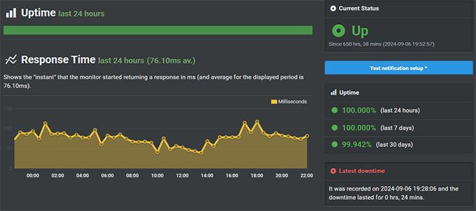 Rocket.net Uptime Test